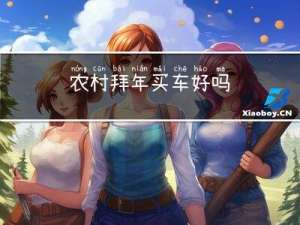 农村拜年买车好吗