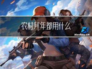 农村拜年都用什么