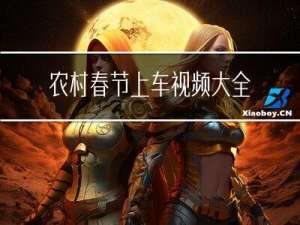 农村春节上车视频大全最新