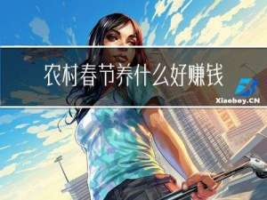 农村春节养什么好赚钱