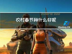 农村春节种什么好呢