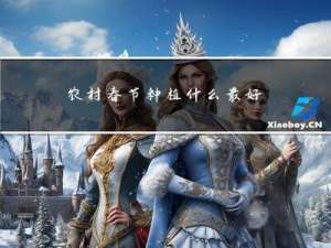 农村春节种植什么最好赚钱