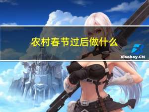 农村春节过后做什么