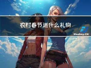 农村春节送什么礼物