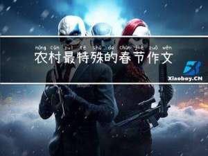 农村最特殊的春节作文