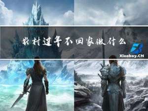 农村过年不回家做什么赚钱