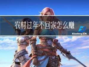 农村过年不回家怎么赚钱