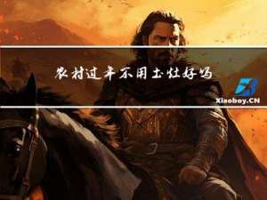 农村过年不用土灶好吗视频