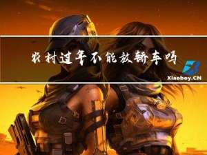 农村过年不能放轿车吗