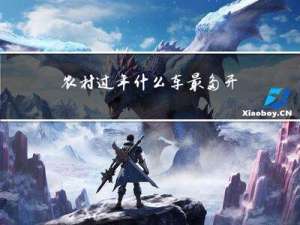 农村过年什么车最多开