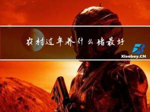 农村过年养什么猪最好吃