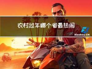 农村过年哪个省最热闹的