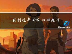 农村过年回家的难题有哪些
