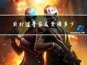 农村过年家庭费用多少合理