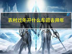 农村过年开什么车回去拜年