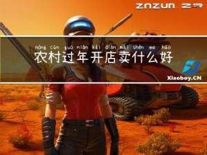 农村过年开店卖什么好赚钱