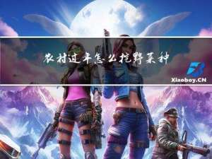 农村过年怎么挖野菜种子