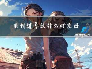 农村过年放什么灯笼好