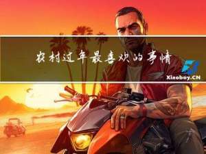 农村过年最喜欢的事情作文