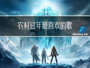 农村过年最喜欢的歌