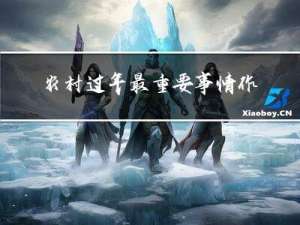 农村过年最重要事情作文