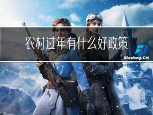 农村过年有什么好政策