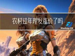 农村过年理发涨价了吗吗