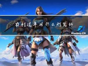 农村过年用什么灯笼好看