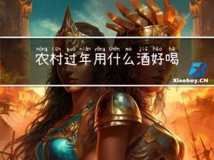 农村过年用什么酒好喝