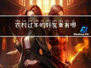 农村过年的好文章有哪些