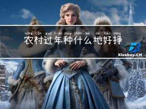 农村过年种什么地好挣钱