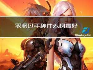 农村过年种什么树最好