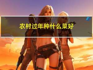 农村过年种什么菜好