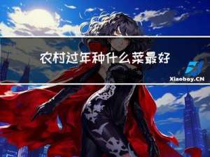 农村过年种什么菜最好吃