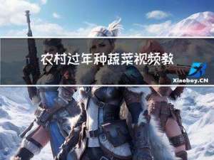 农村过年种蔬菜视频教程