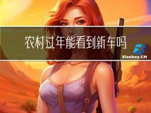 农村过年能看到新车吗吗