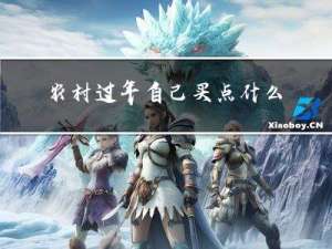 农村过年自己买点什么好