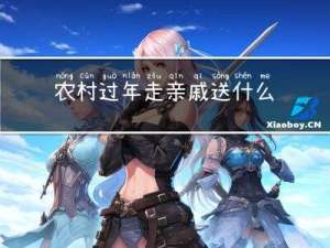 农村过年走亲戚送什么礼物
