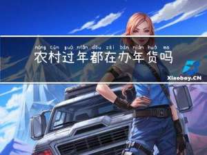 农村过年都在办年货吗英语