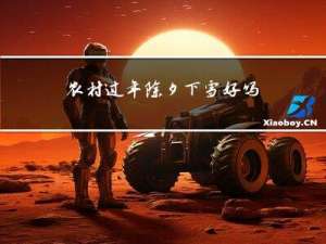 农村过年除夕下雪好吗吗