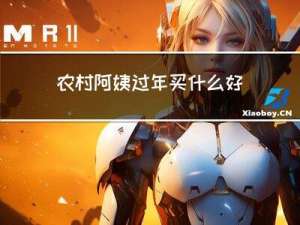 农村阿姨过年买什么好吃