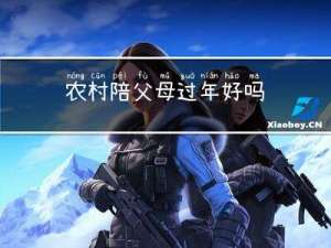 农村陪父母过年好吗