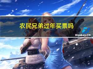 农民兄弟过年买票吗