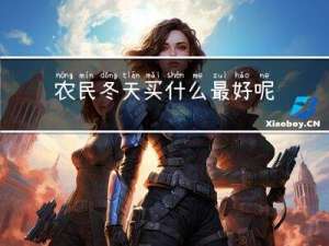 农民冬天买什么最好呢