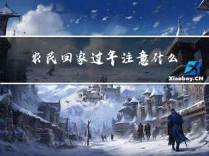 农民回家过年注意什么问题