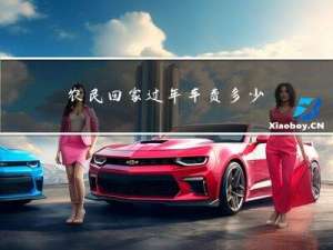 农民回家过年车费多少