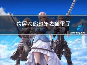 农民大妈过年去哪里了