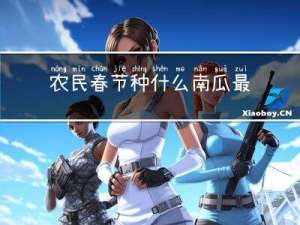 农民春节种什么南瓜最好