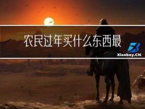 农民过年买什么东西最好