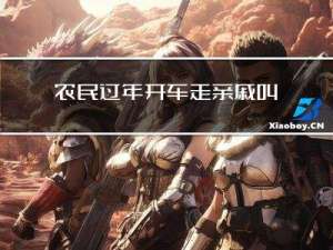 农民过年开车走亲戚叫什么